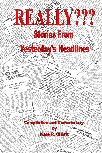 Really??? Book Cover Inland Expressions